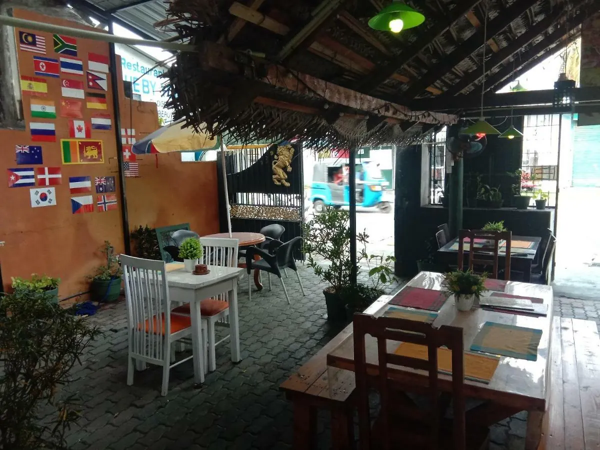 King Paradise By Hotel Oviniru